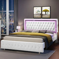 Queen Size Velvet Button Tufted LED Bed Frame F6403
