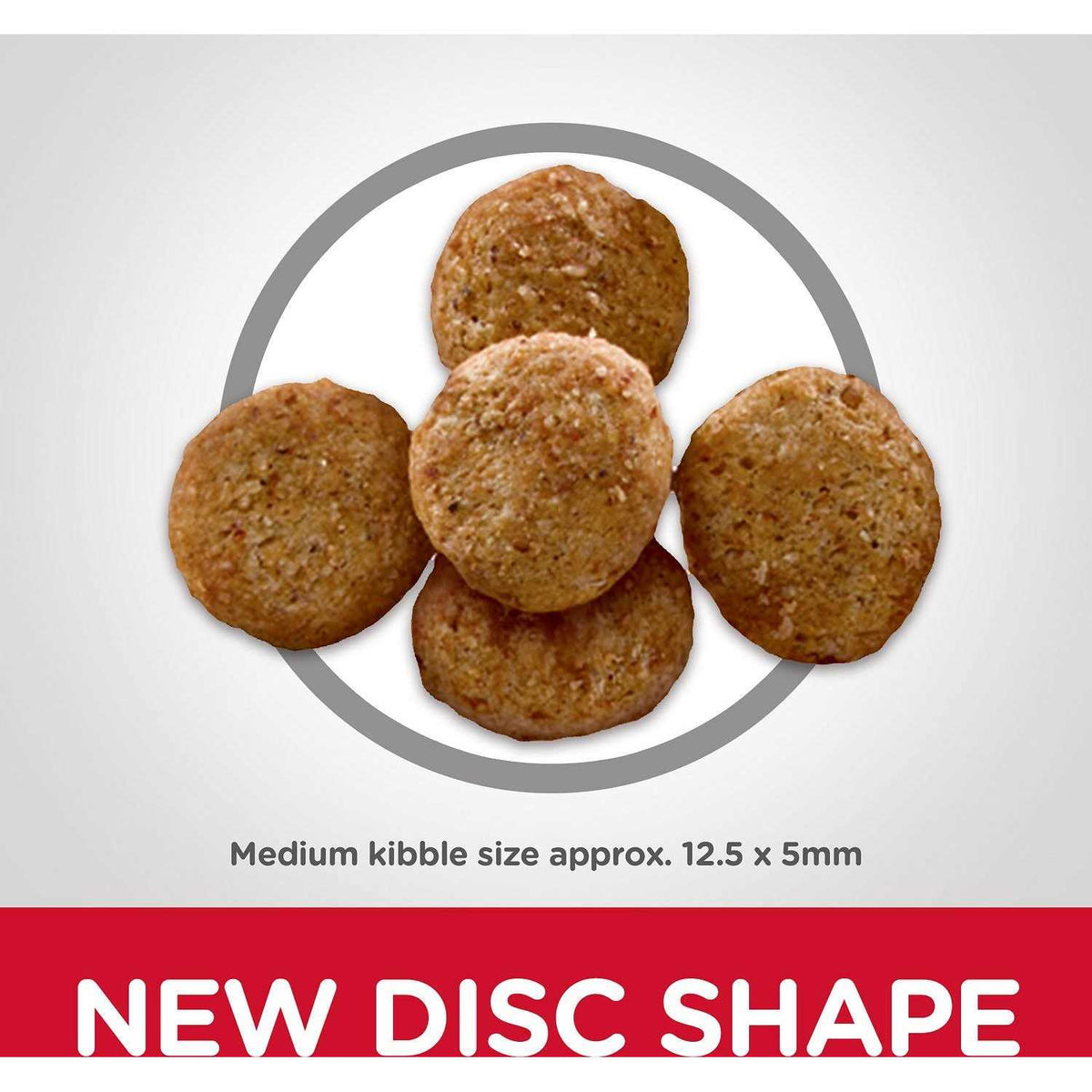 Adult Light Chicken Meal & Barley Dry Dog Food Y2345