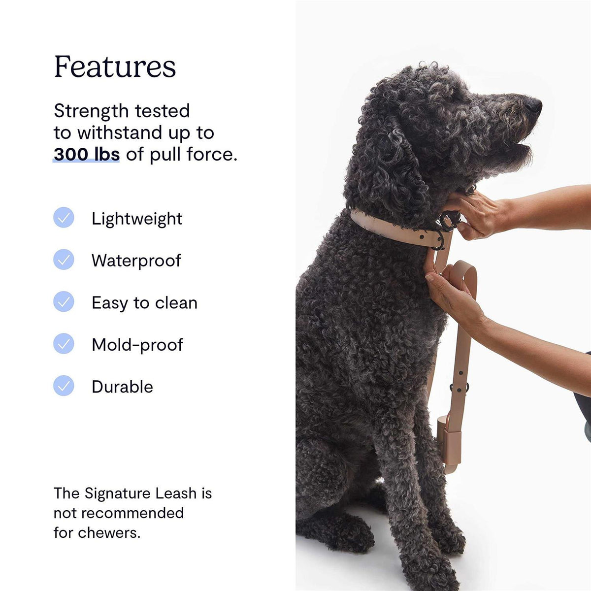 Dog Leash B1355