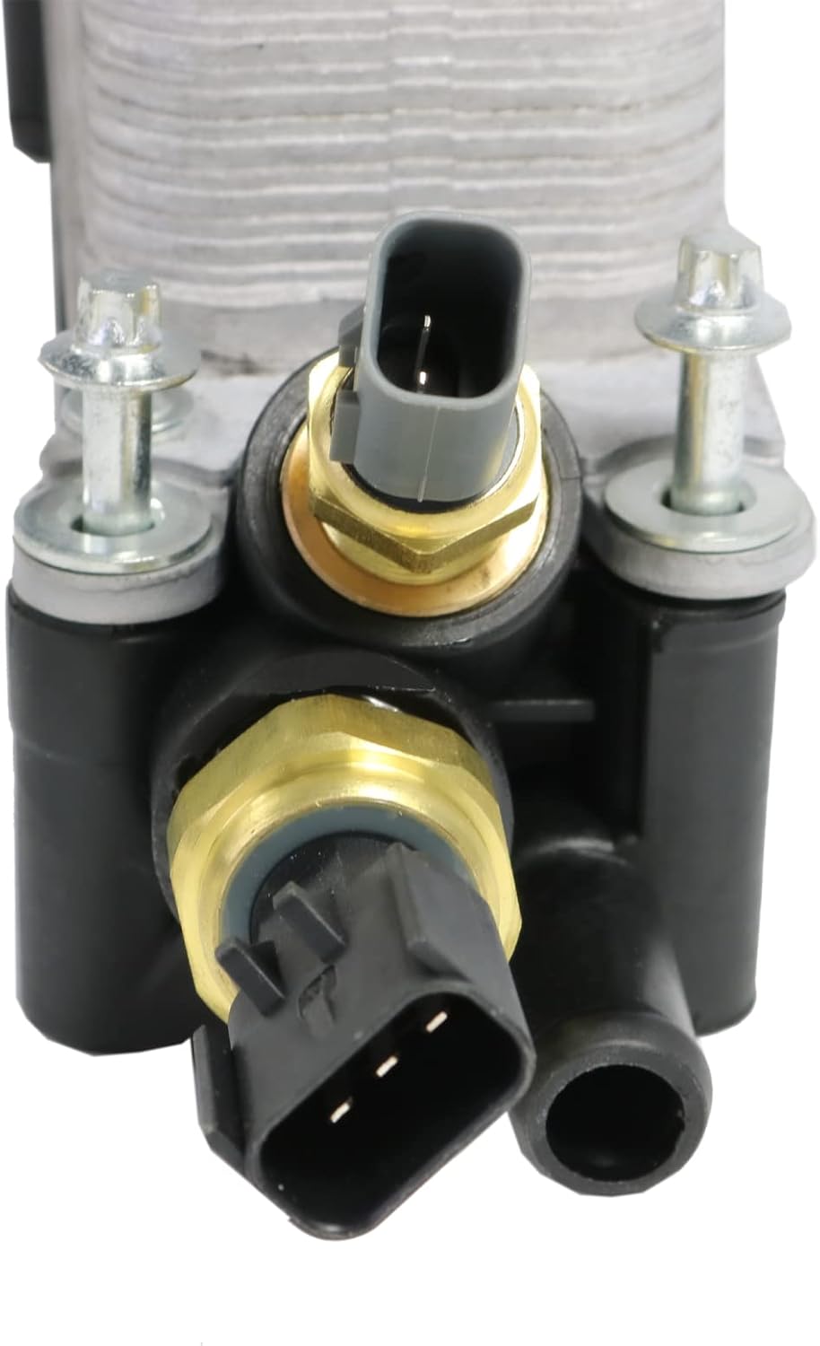 Engine Oil Cooler Filter Housing Adapter Assembly 3.6L V6 C2155