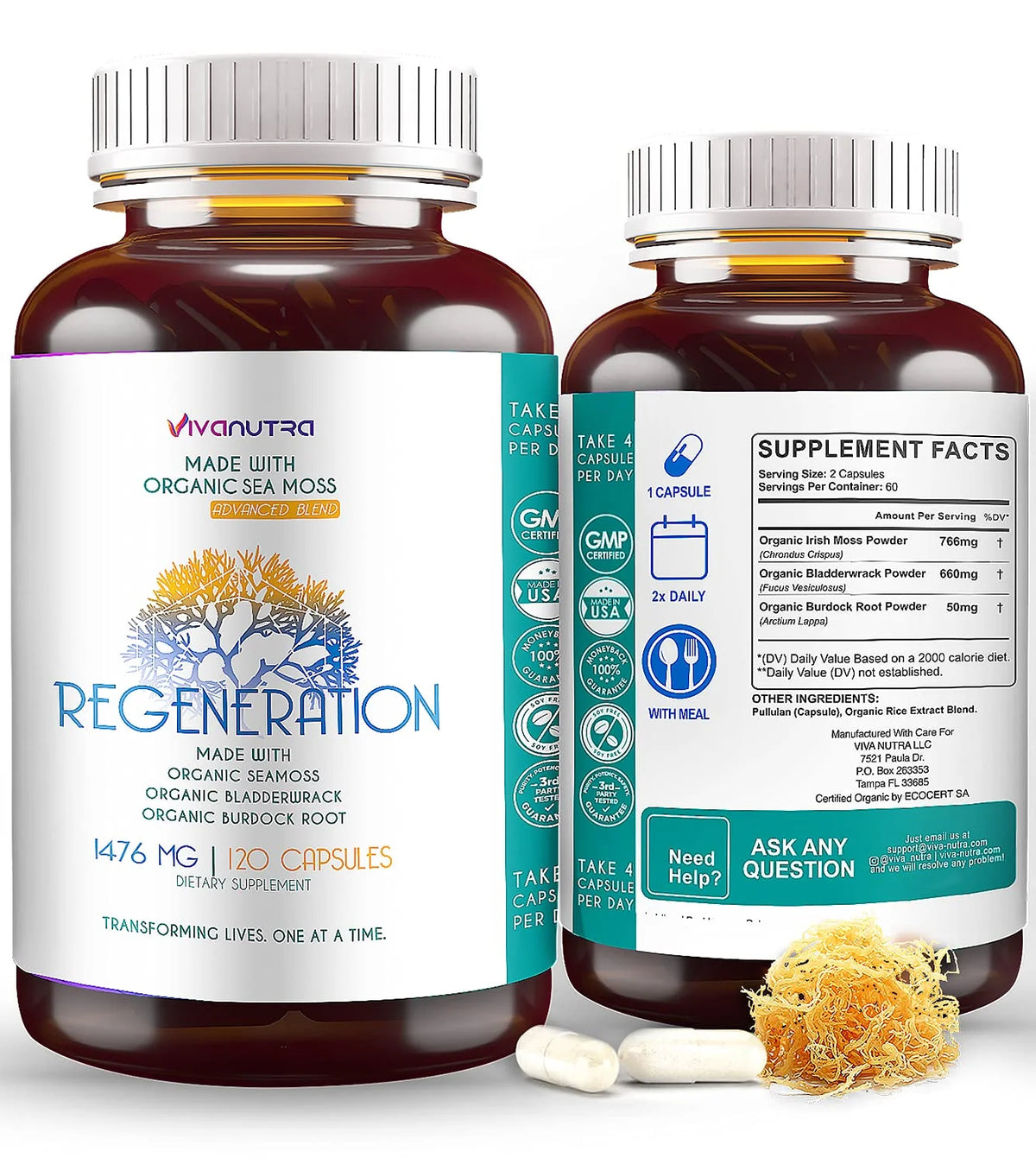Organic Irish Sea Moss Bladderwrack Burdock Root 120 Capsules T7169