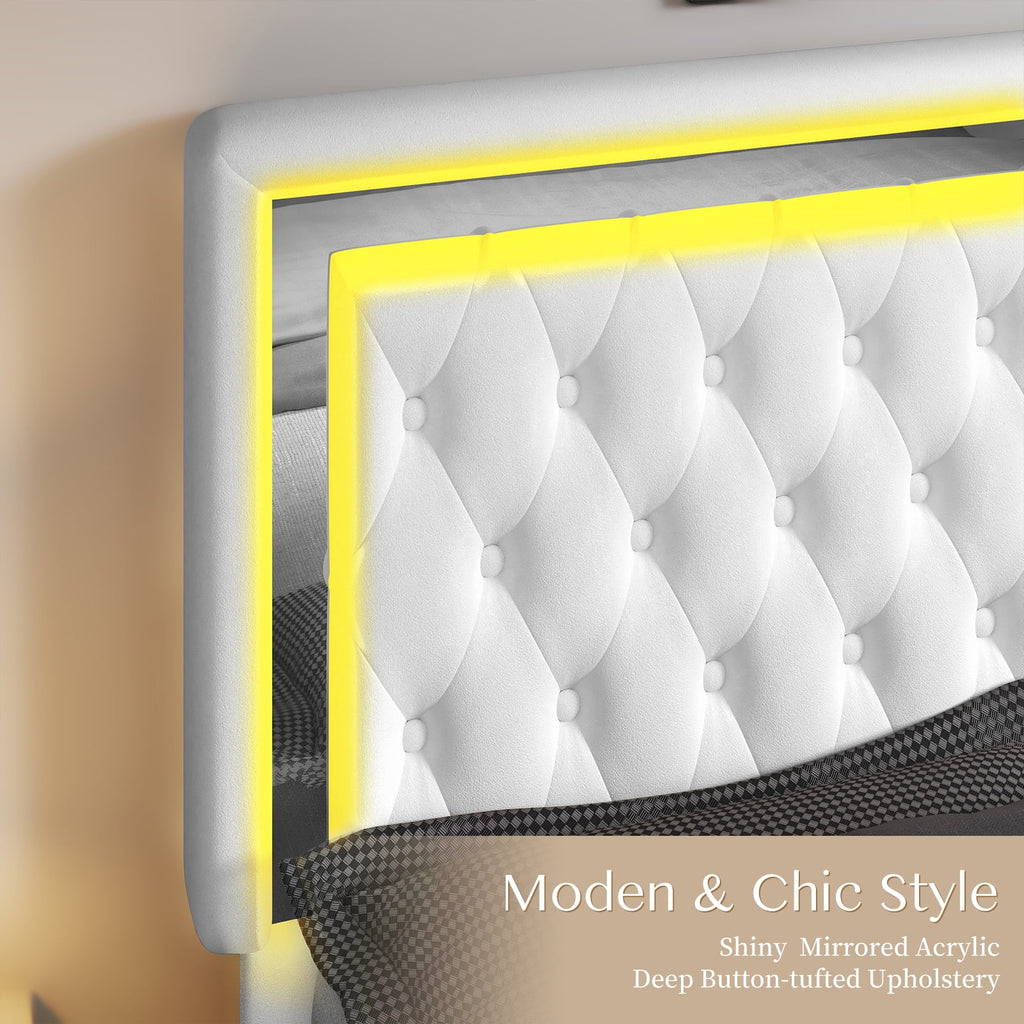 Queen Size Velvet Button Tufted LED Bed Frame F8297