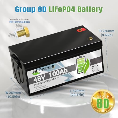 12V 100Ah LiFePO4 Deep Cycle Lithium Battery A965