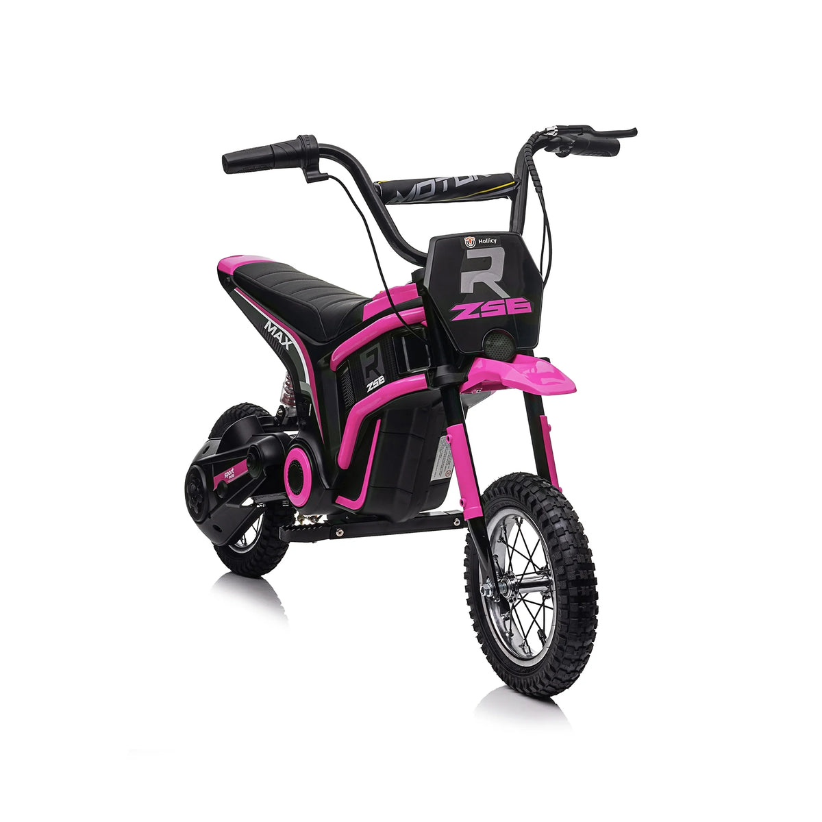 24V 350W Blue Electric Dirt Bike F502995