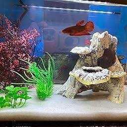 Plastic 7 Pieces Artificial Fish Tank Decor Set L22361