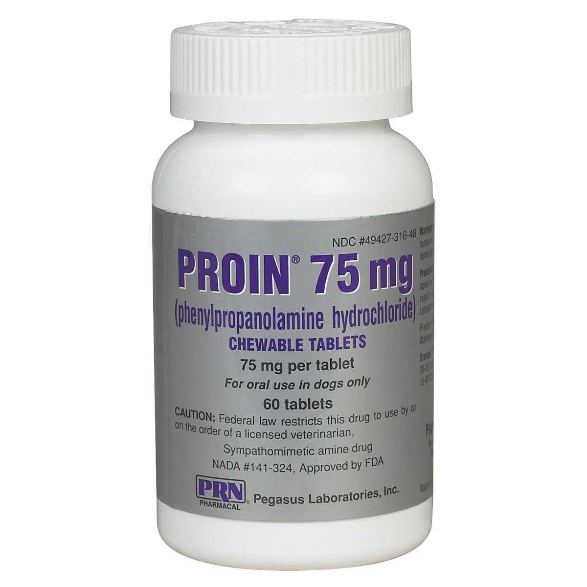 Chewable Tablets for Dogs B729