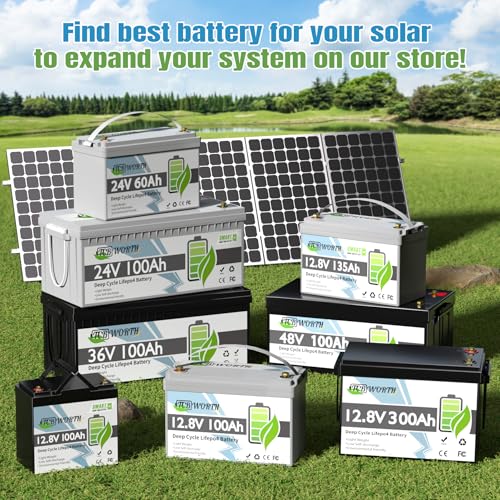 12V 100Ah LiFePO4 Deep Cycle Lithium Battery A965