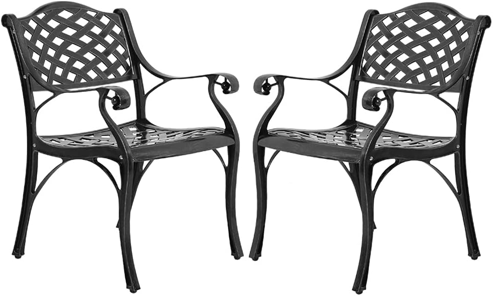 Cast Aluminum Outdoor Dining Chairs Set of 2 S387572