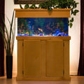 Rectangle UniQuarium Sapphire Blue Back C9054