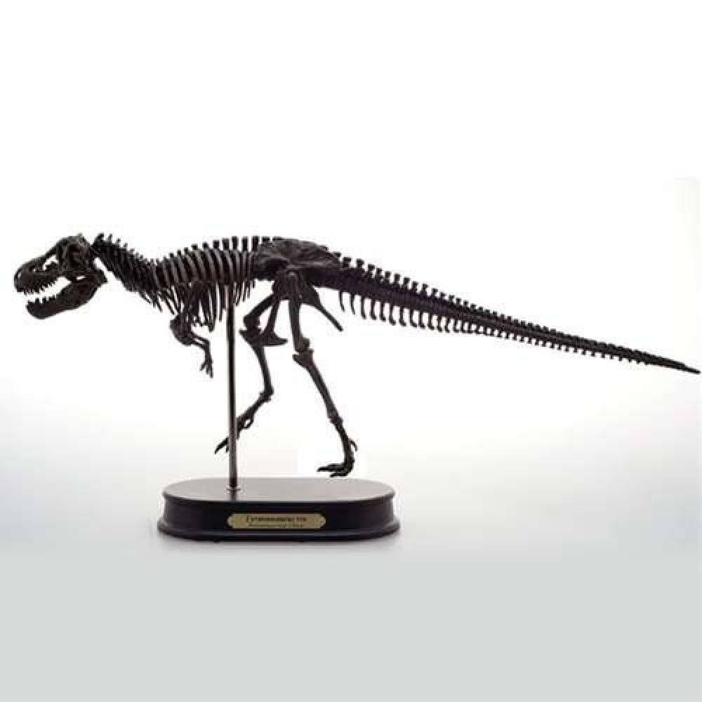 Tyrannosaurus Rex Dinosaur Figure Fossil Skeleton 1/20 Scale W5033
