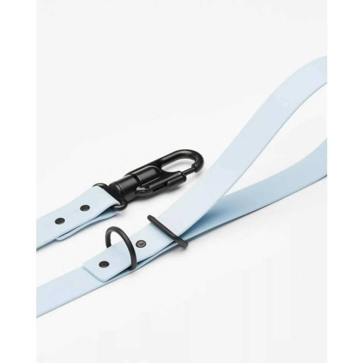 Dog Leash B1355