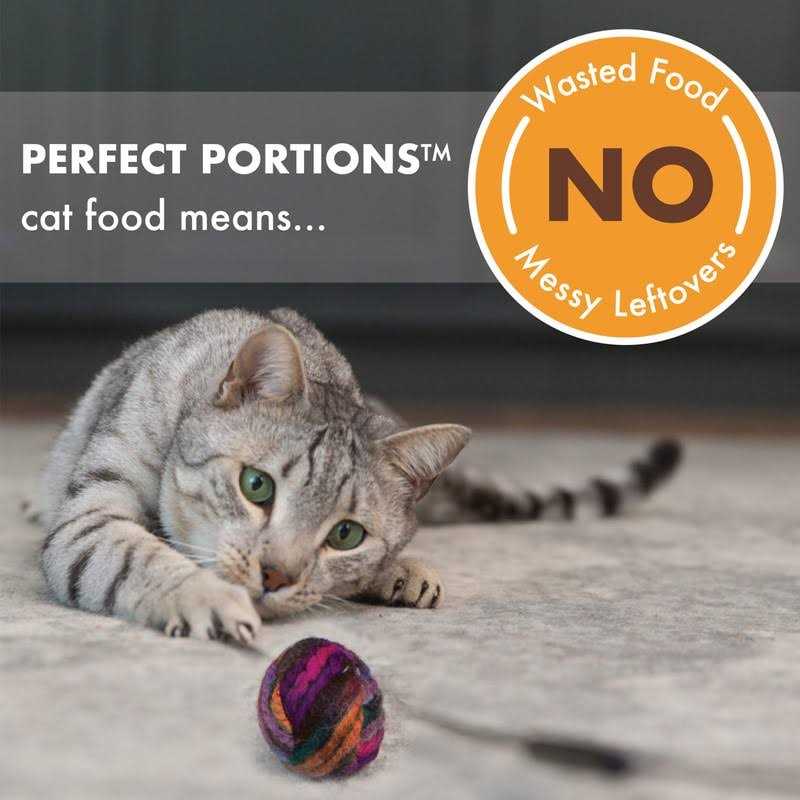 Grain Free Turkey Cuts in Gravy Wet Cat Food Y367802