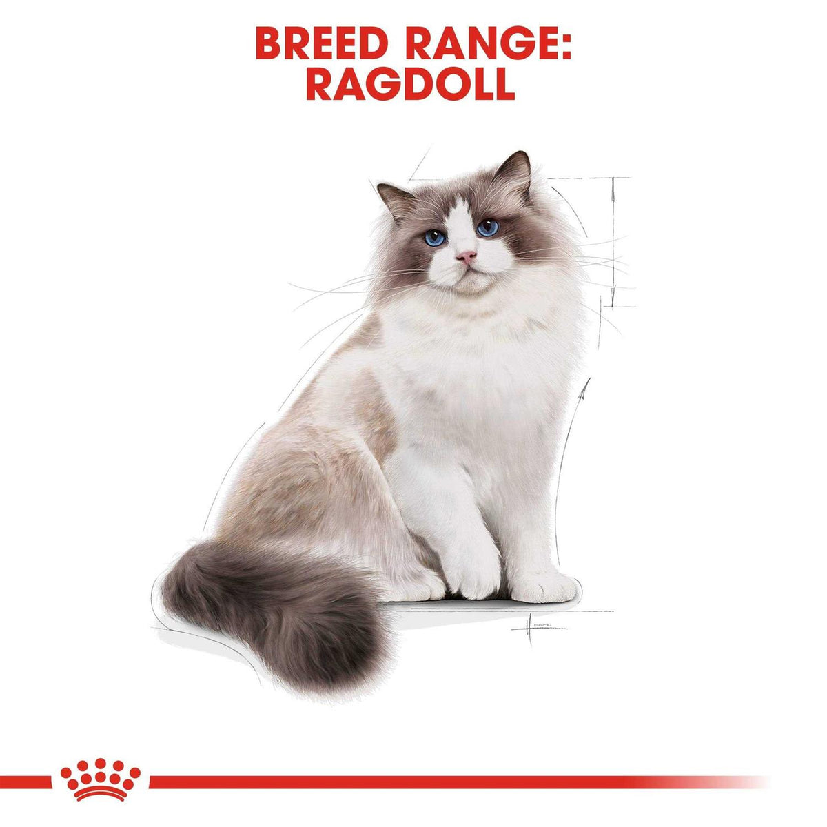Ragdoll Adult Cat Food W653777