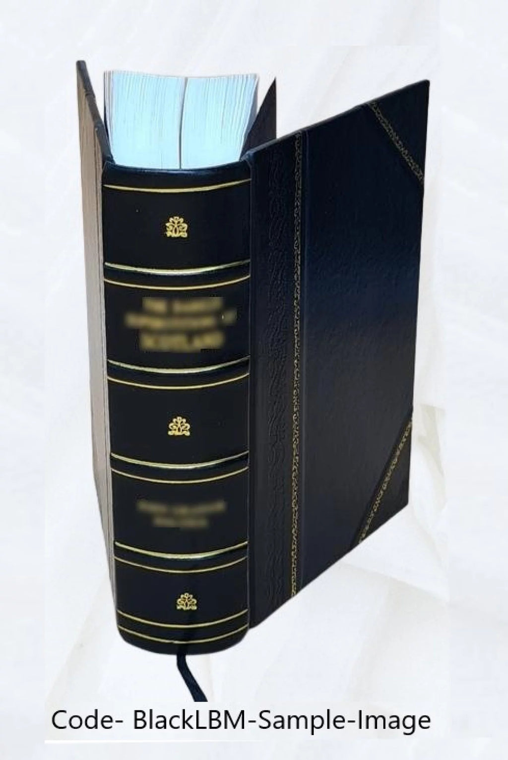 Complete Works of Josephus Volume 3 Leather Bound J6983