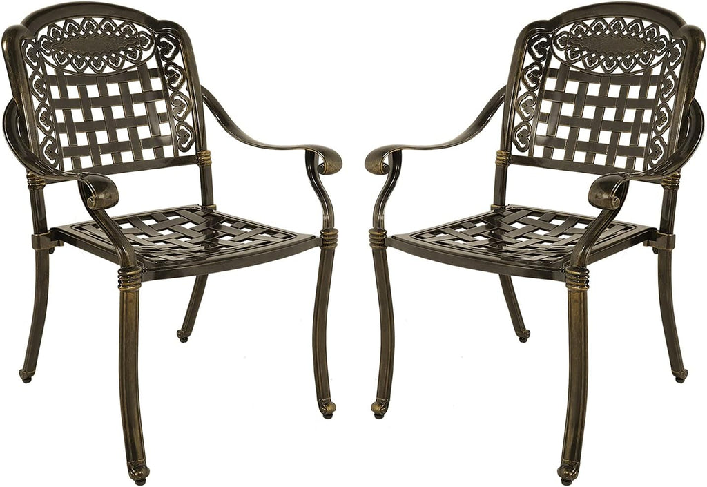Cast Aluminum Outdoor Dining Chairs Set of 2 S387572