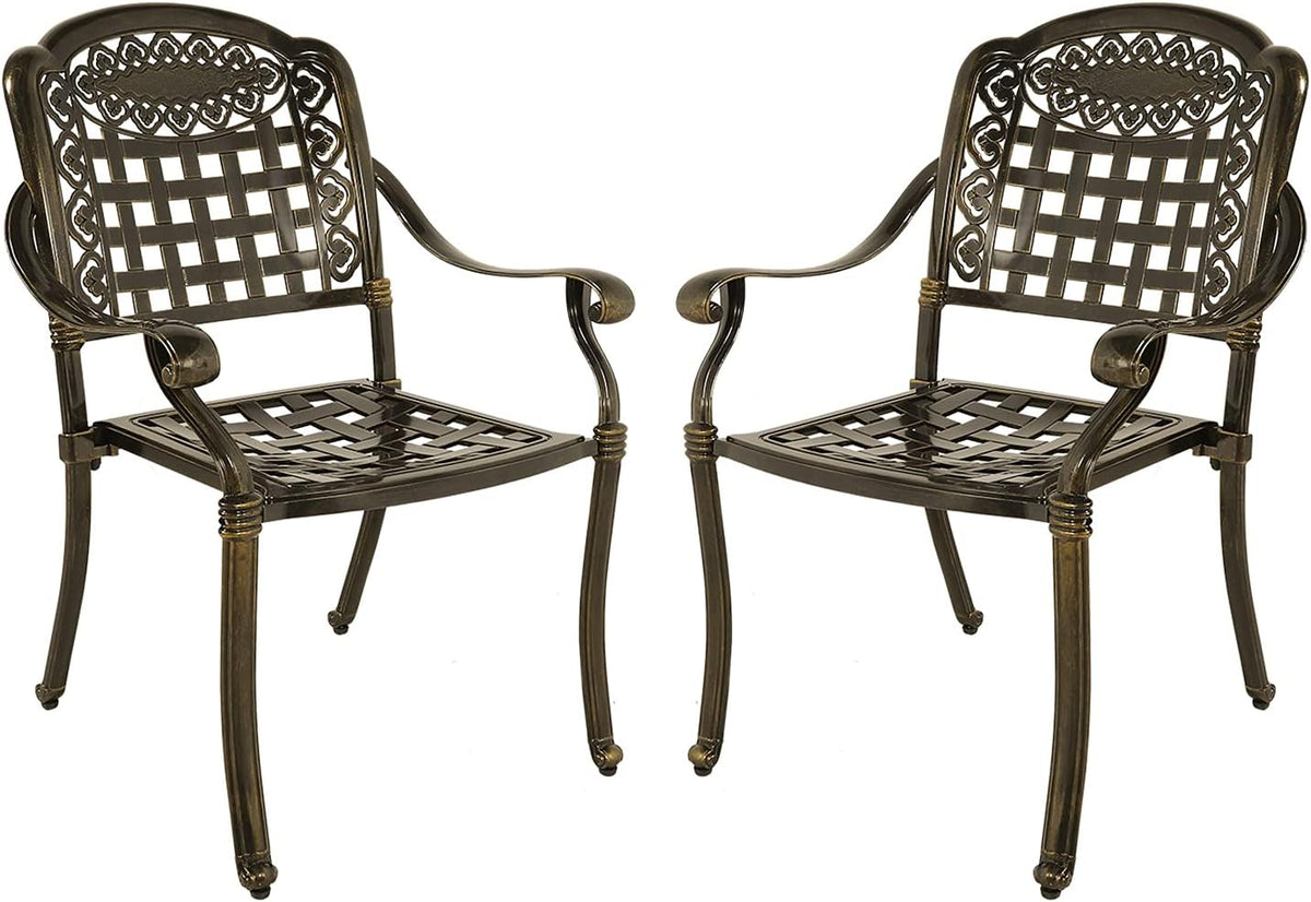 Cast Aluminum Outdoor Dining Chairs Set of 2 S387572