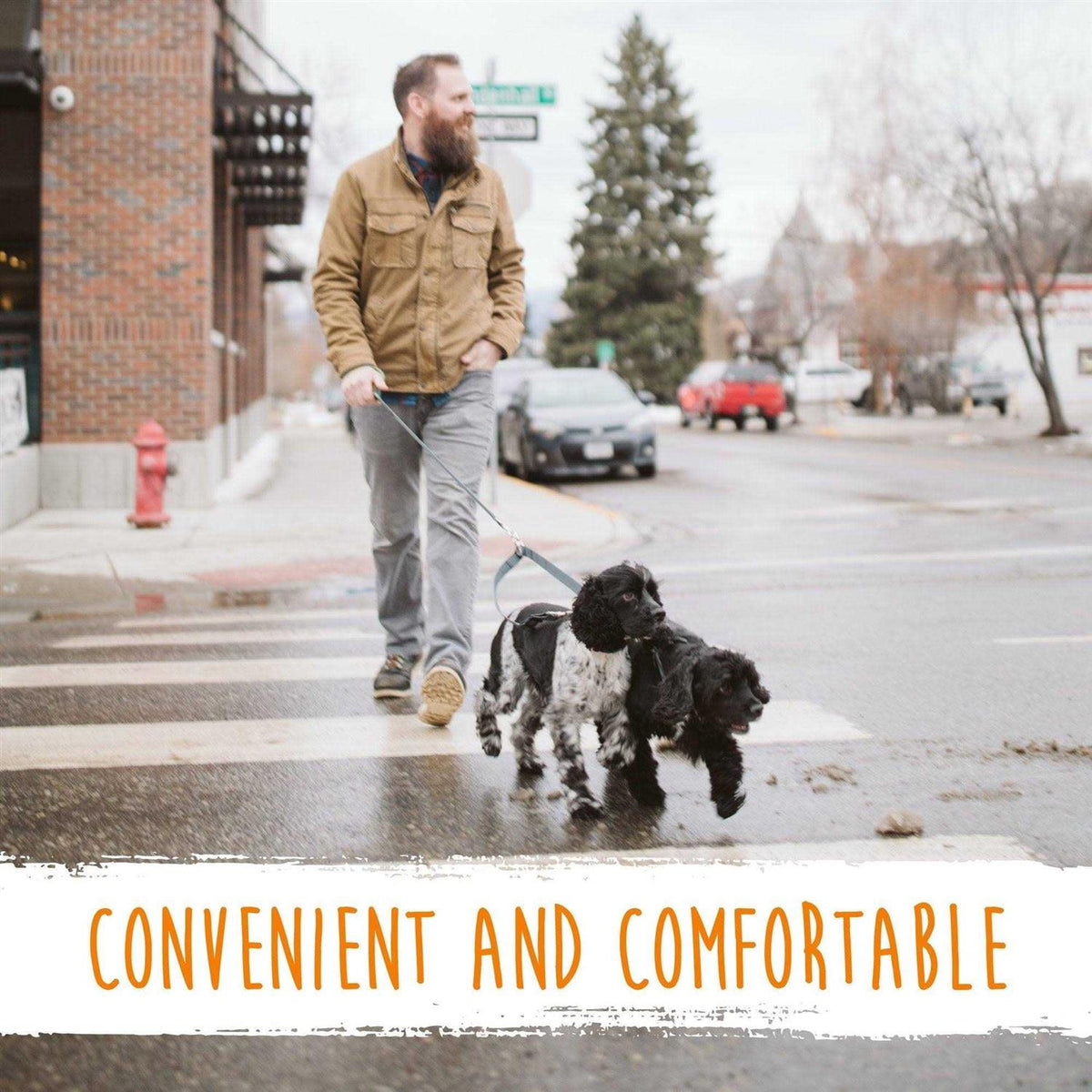 Adjustable Double Dog Leash P541