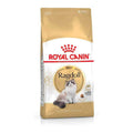 Ragdoll Adult Cat Food W653777