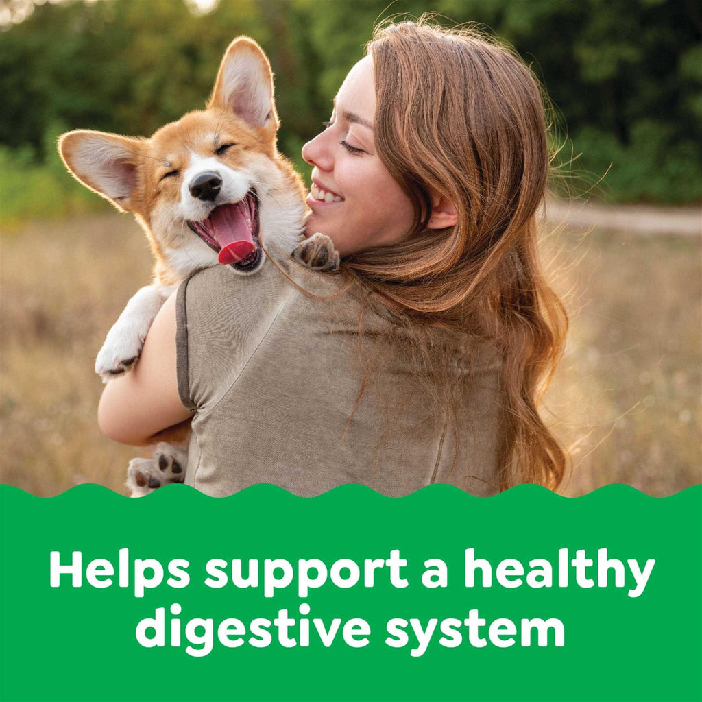 Probiotics Digestive Health Chicken Flavor Dog Supplements G33477