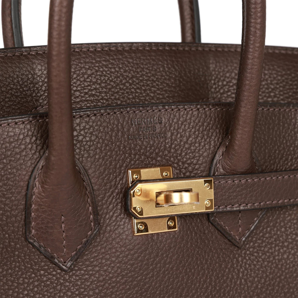Birkin 25 Ebene Barenia Faubourg Gold Hardware R225