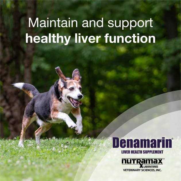 Liver Health Tablets Dogs I522