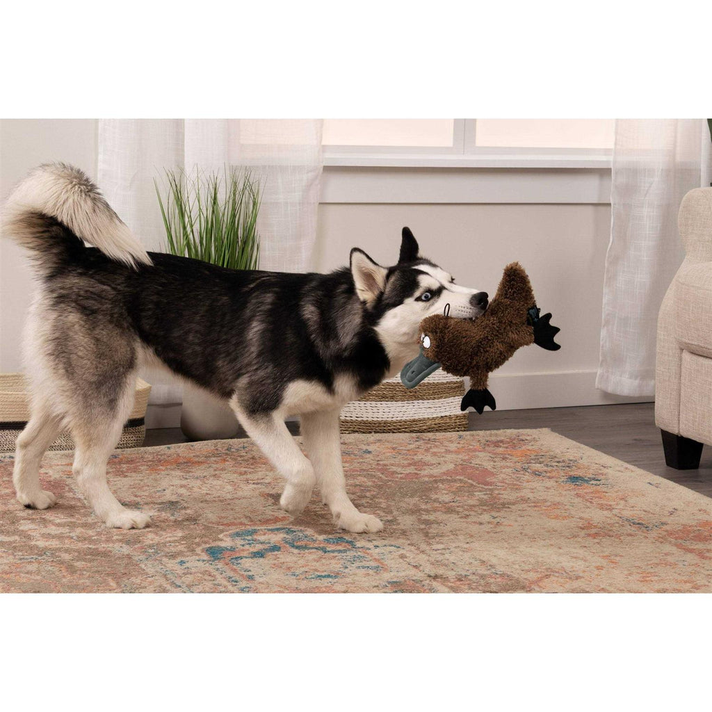 Platypus Dog Toy D35011