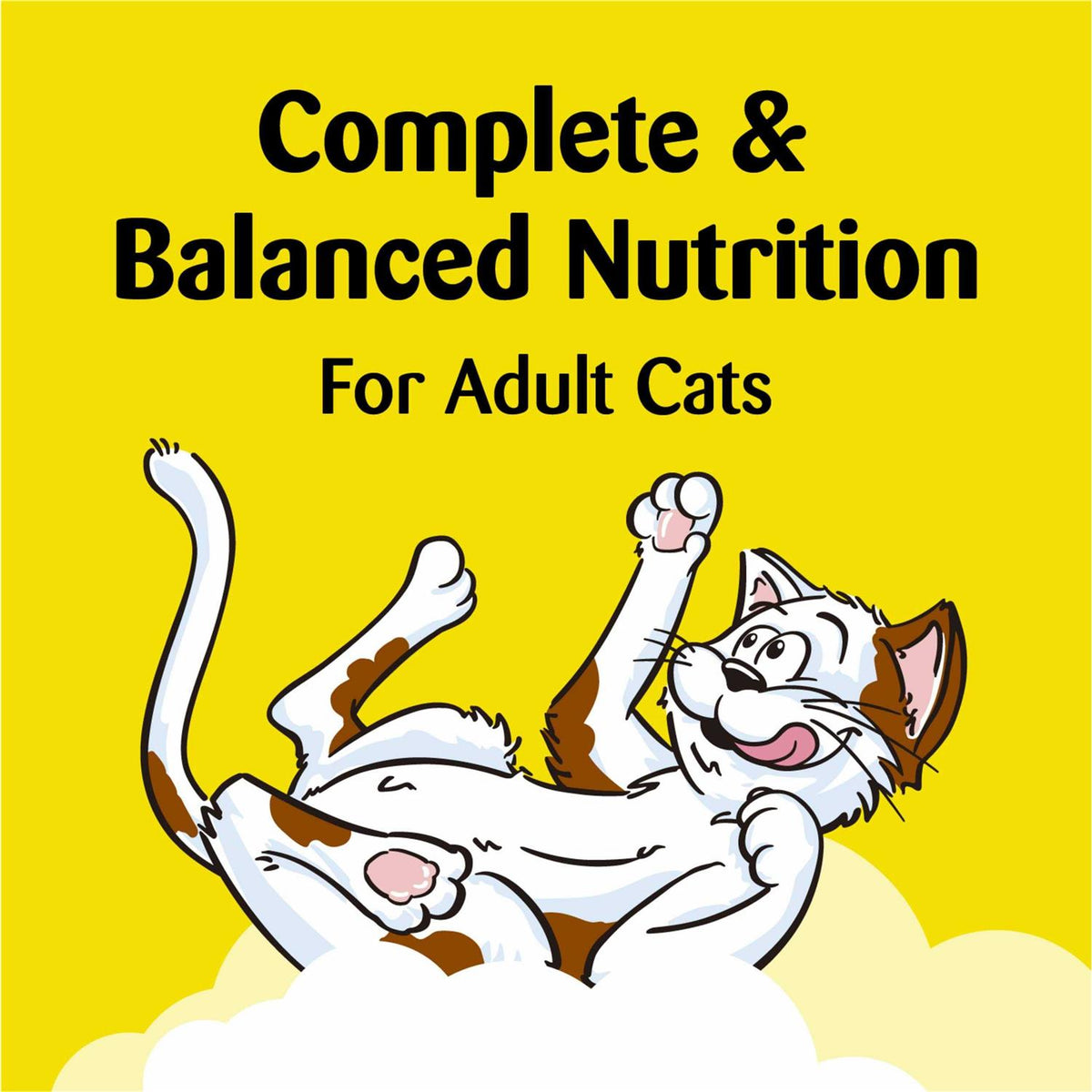 Cat Treats K875769