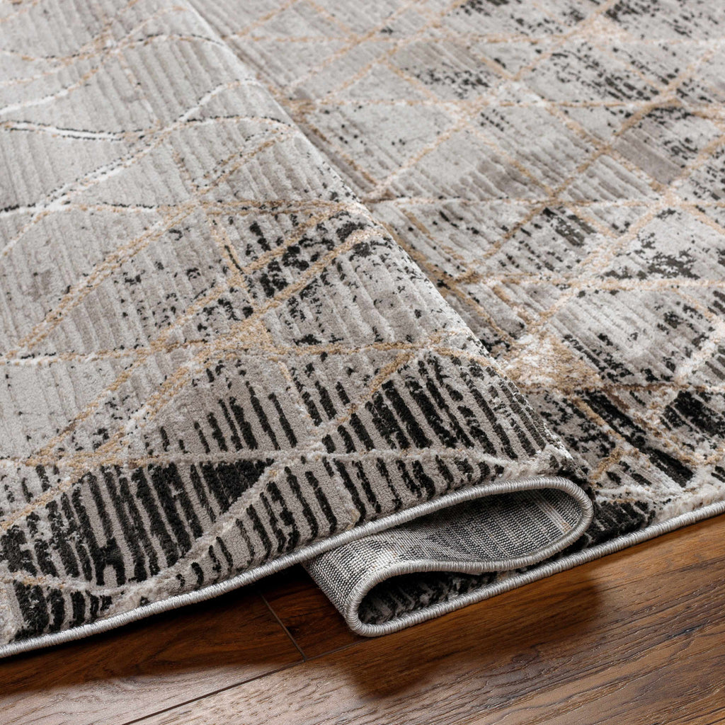 Gray Black 2' x 3' Area Rug Y56198