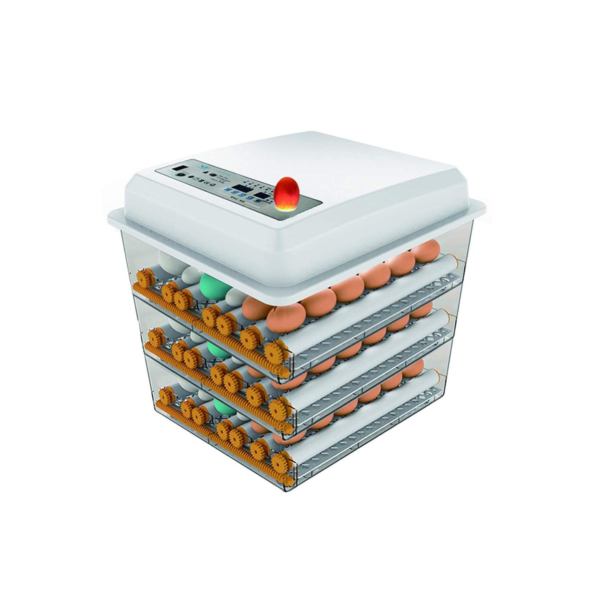 170 Egg Incubator with Automatic Egg Turning and Temperature Humidity Control V301
