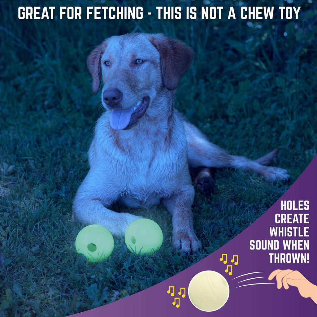 Glow Ball Dog Toys C742