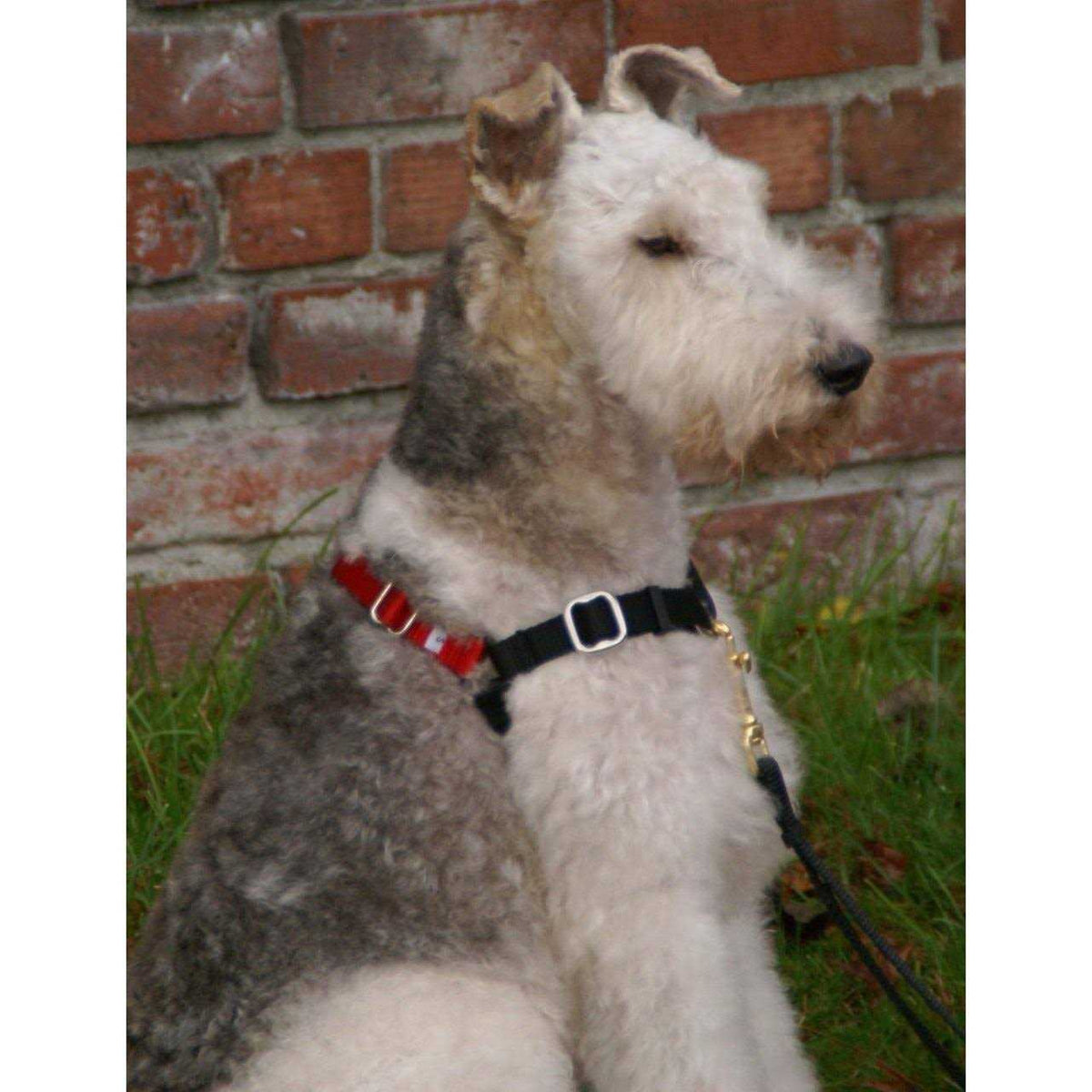Dog Harness E716