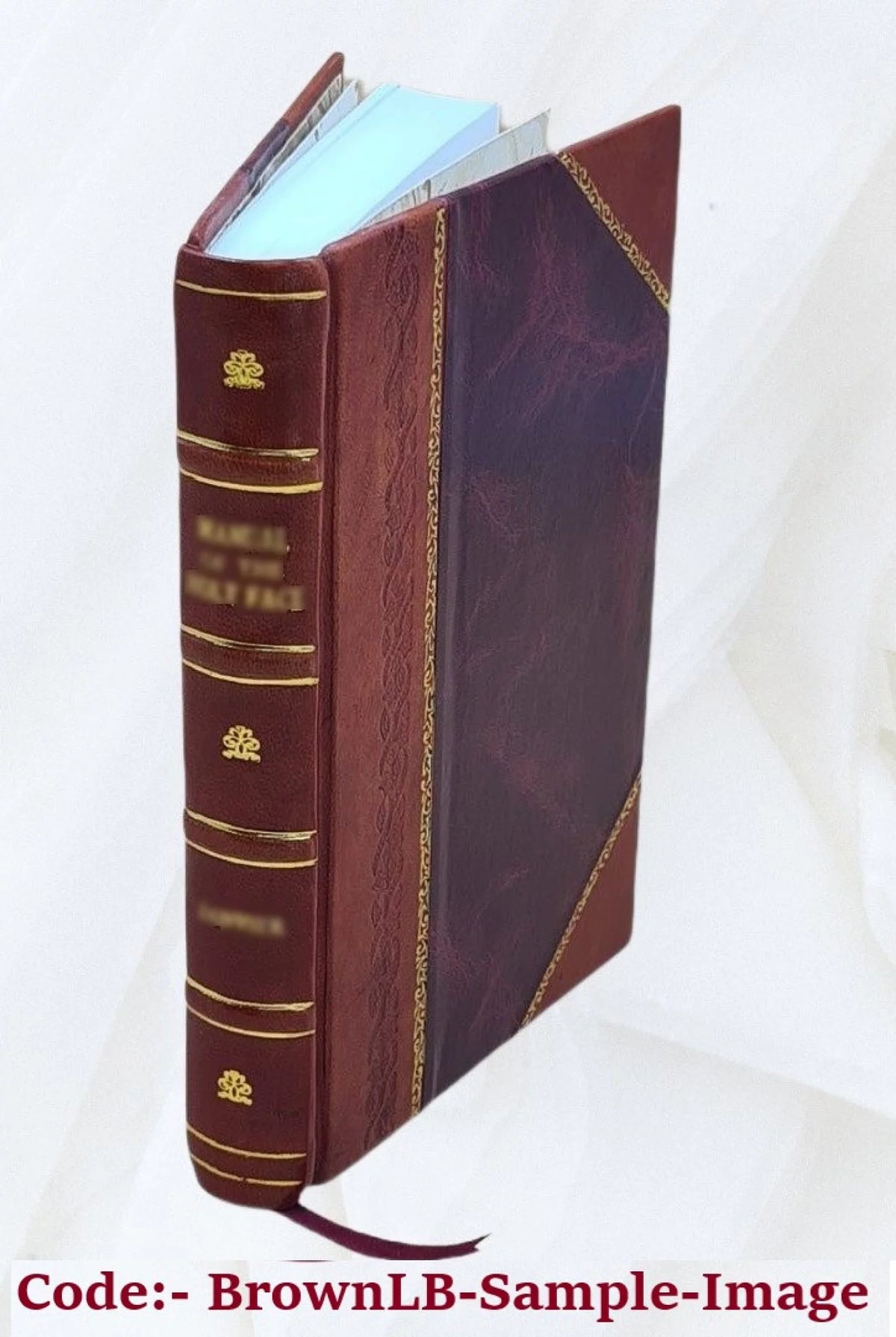 Leather Bound V54343