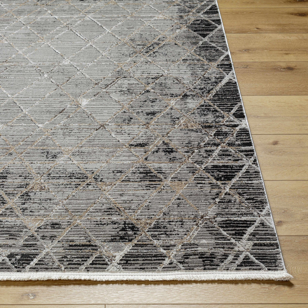 Gray Black 2' x 3' Area Rug Y56198