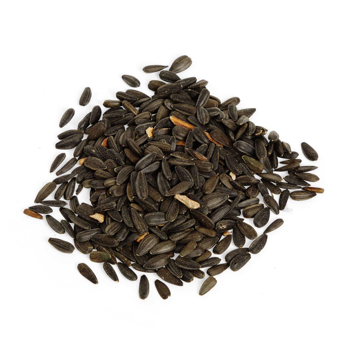 Black Oil Sunflower Seed Wild Bird Food O857