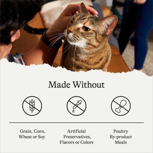 Canned Cat Food K7375