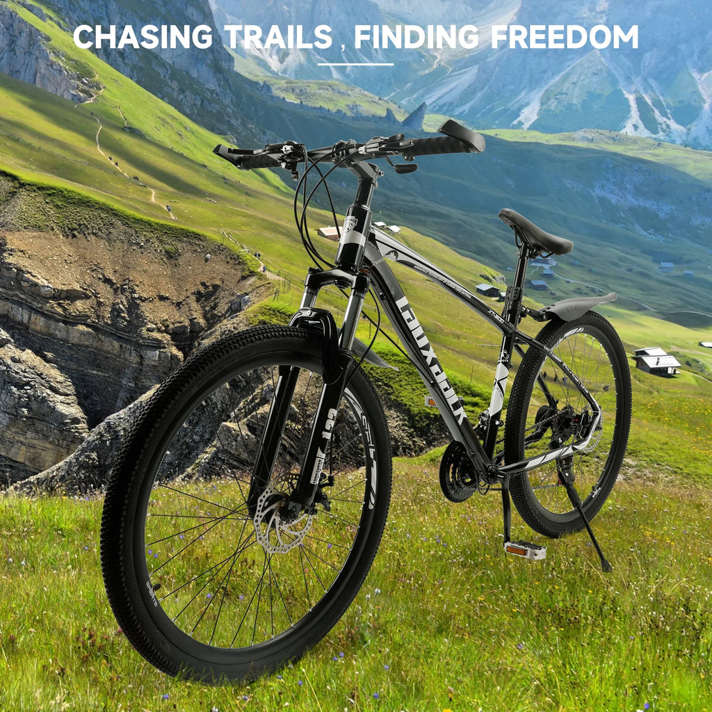 Full Suspension 21 Speed 27.5 inch Dual Disc Brake Mountain Bike Y256004