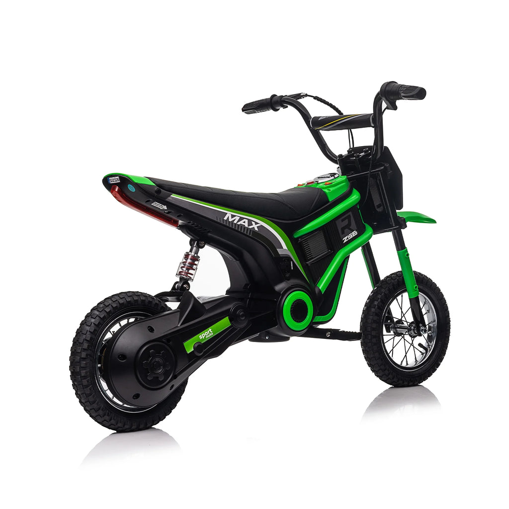 24V 350W Blue Electric Dirt Bike F502995