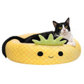 Pineapple Pet Bed H988182