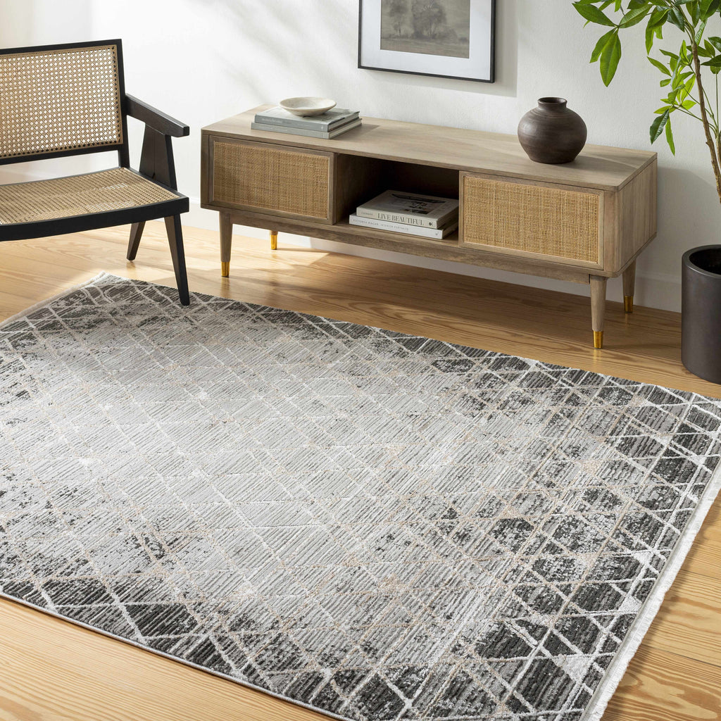 Gray Black 2' x 3' Area Rug Y56198