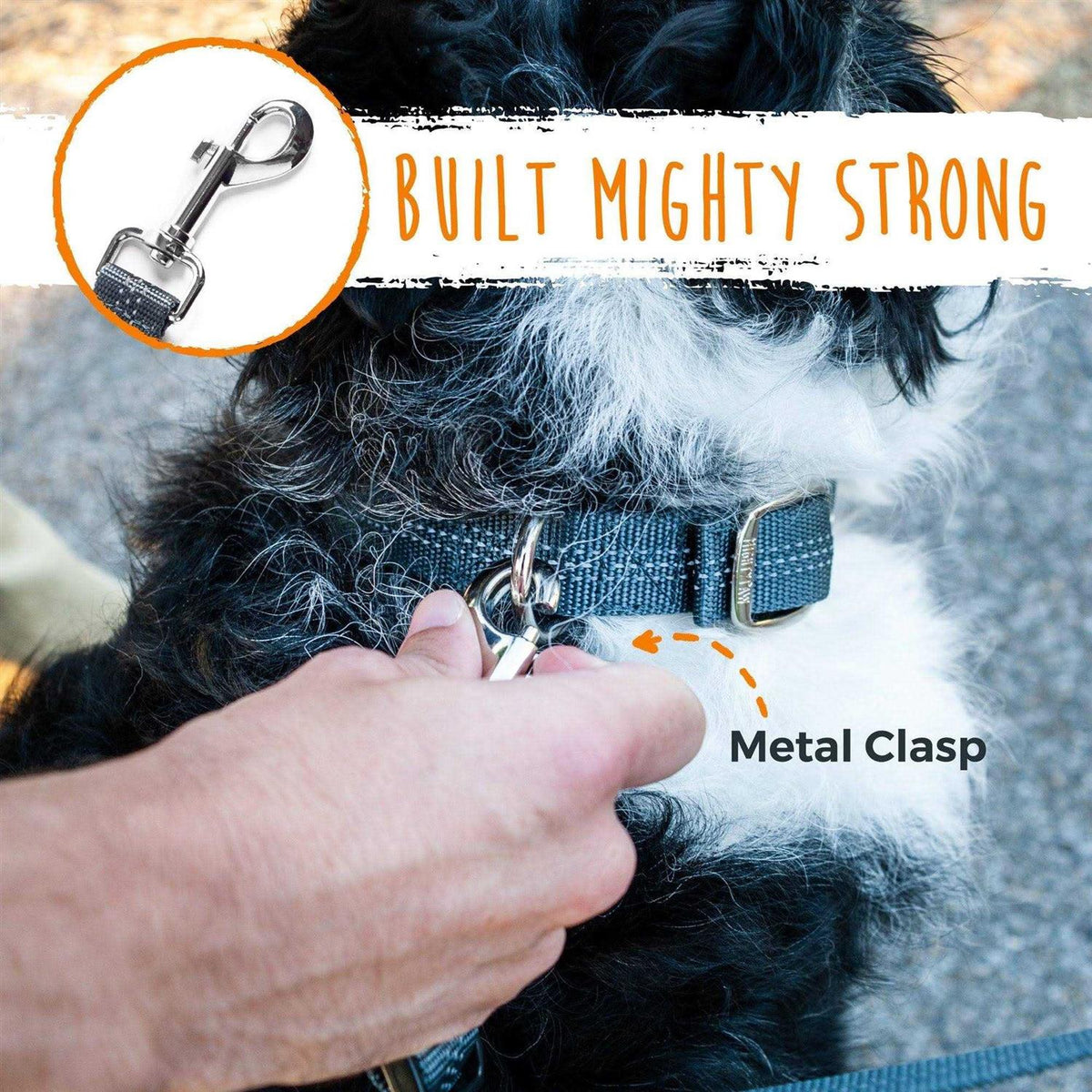 Adjustable Double Dog Leash P541