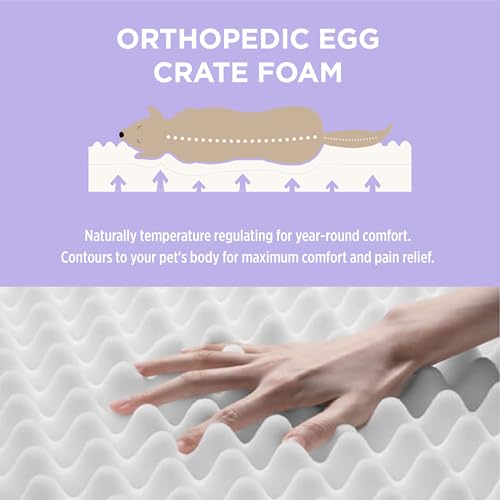 Waterproof Orthopedic Egg Crate Foam Dog Bed with Removable Washable Cover, Green G451830