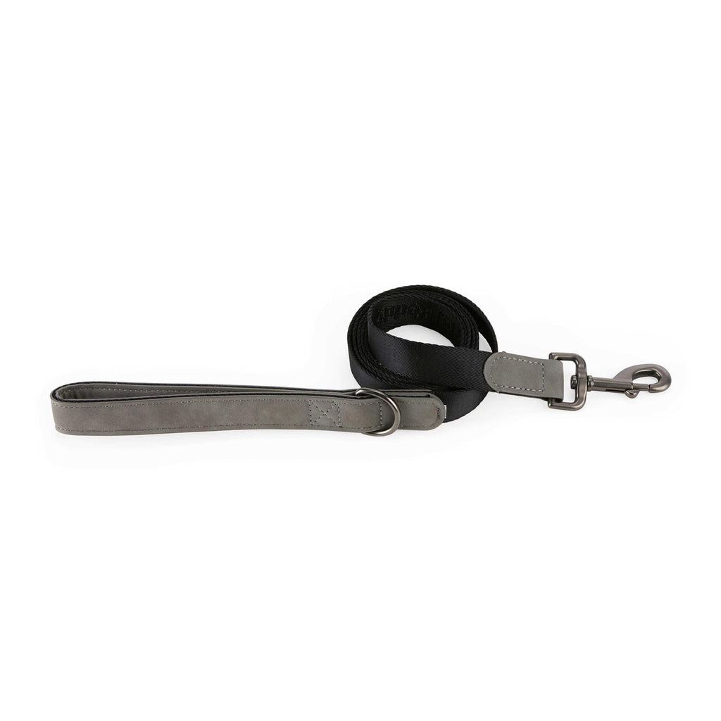 6' Dog Lead J48175