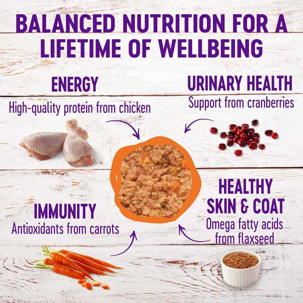 Wellness Complete Health Pâté A408