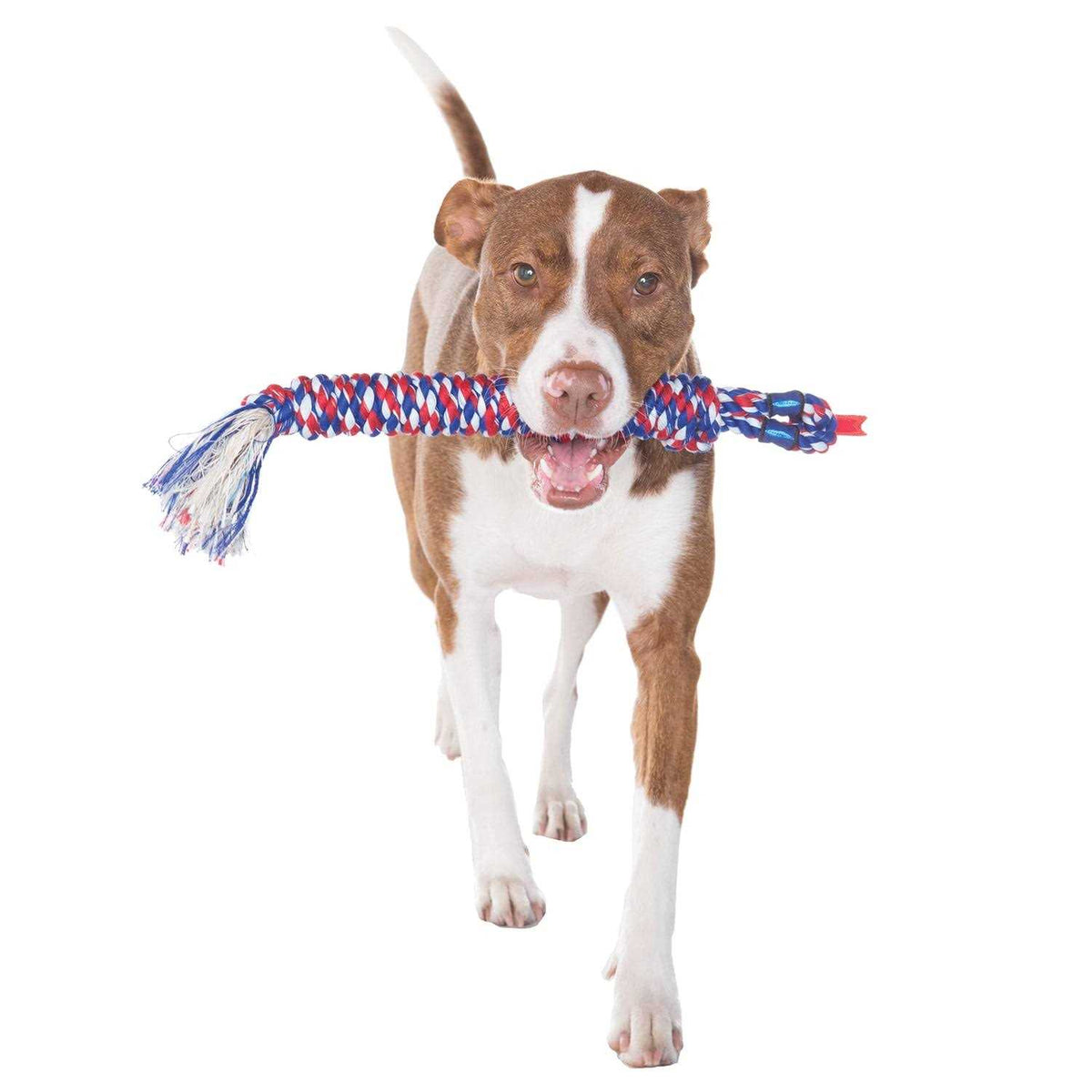 Dog Toy U446240