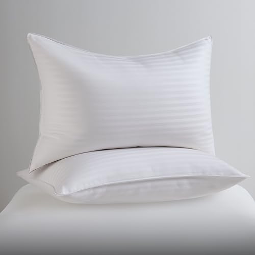 Down Alternative Cotton King Size Set of 2 Bed Pillows D799