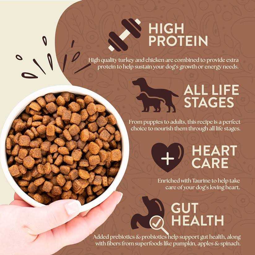 Grain Free Dry Dog Food L9431