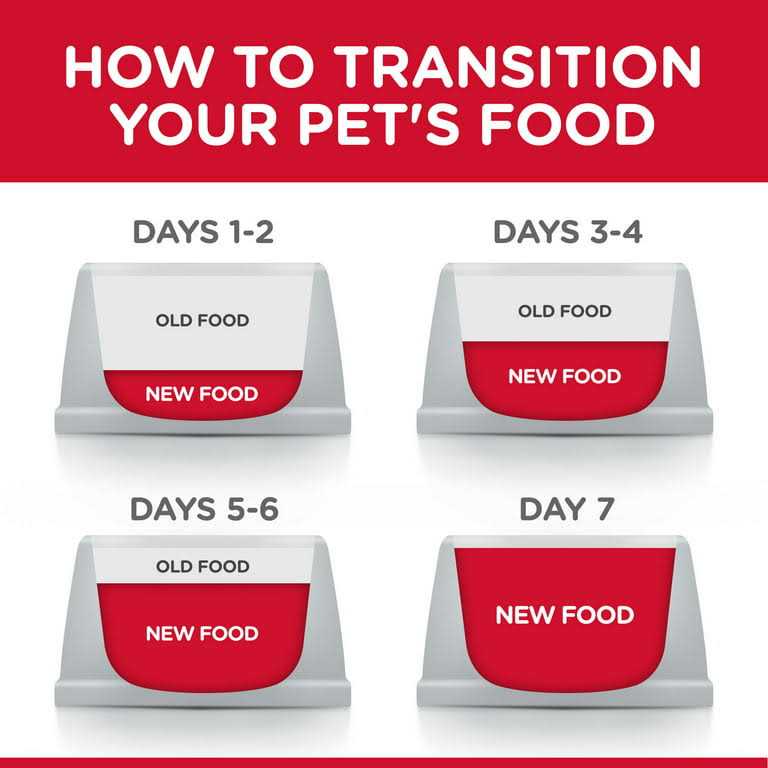 Chicken Recipe Dry Cat Food D126631