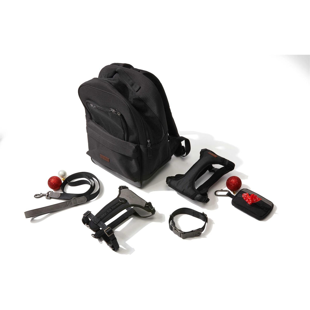 6' Dog Lead J48175