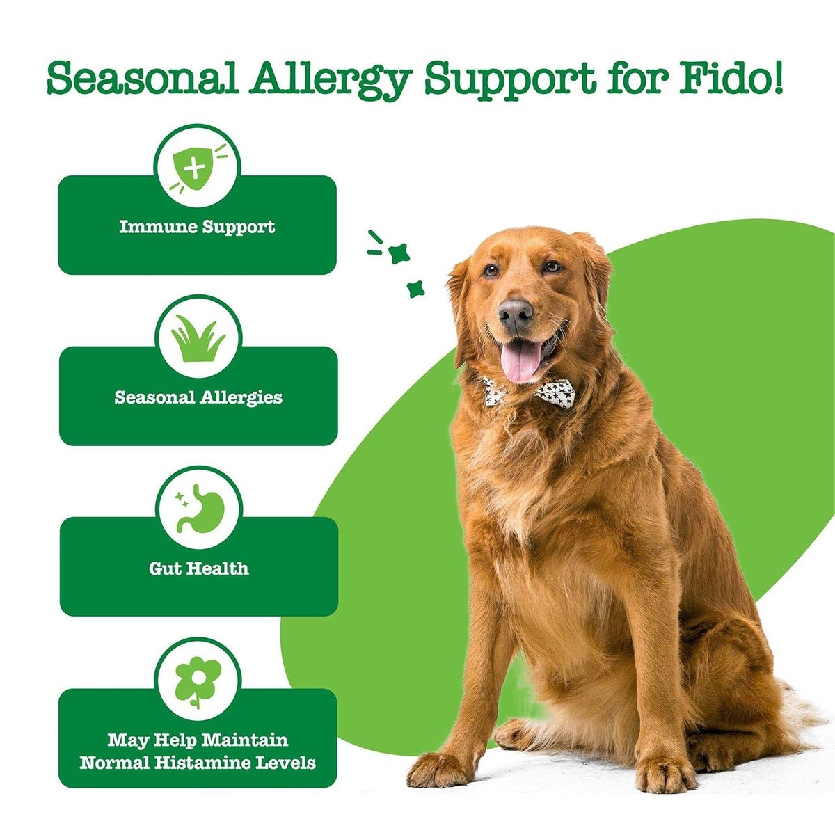 Hemp Cheese Allergy & Immune Bites for Dogs G17951