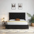 Velvet Queen Bed with Metal Frame Y3169
